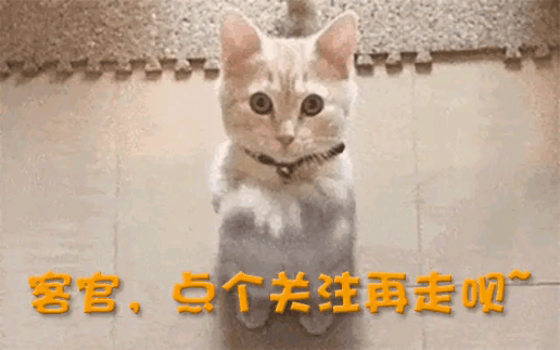 又一中产最爱的电商平台停运曾叫板淘宝！j9九游会网站入口烧光3000万美元！(图7)